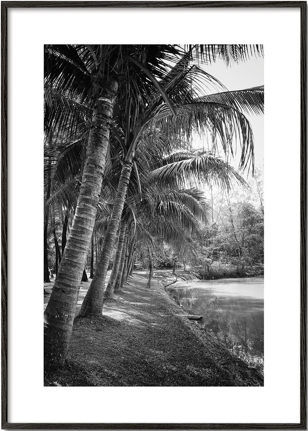 Pionowy pejzaż z palmami — fotografia