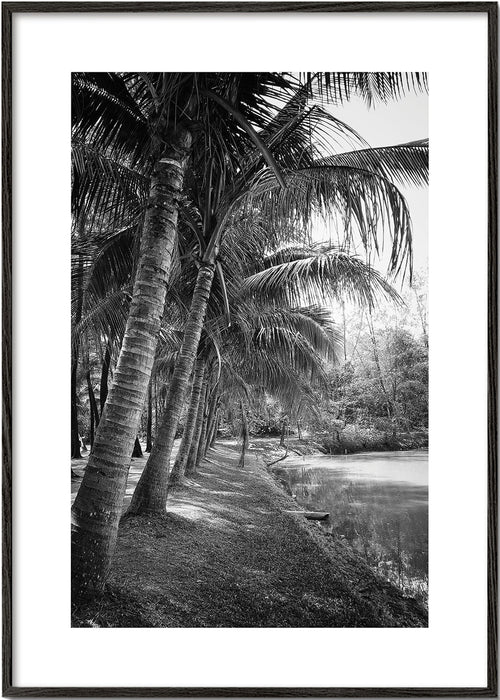 Pionowy pejzaż z palmami — fotografia