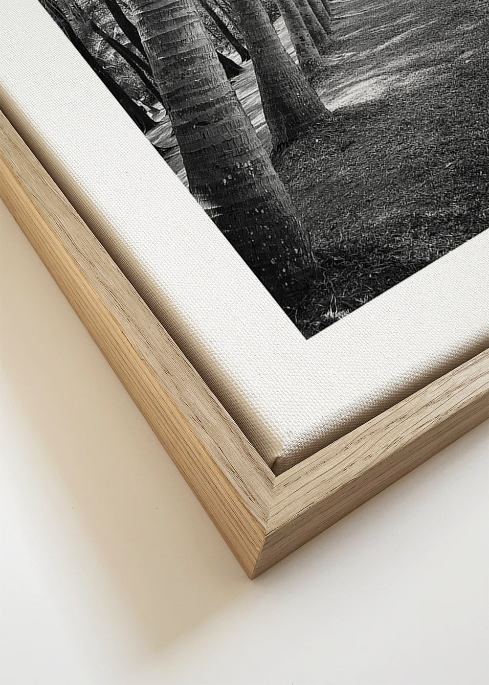 Pionowy pejzaż z palmami — fotografia