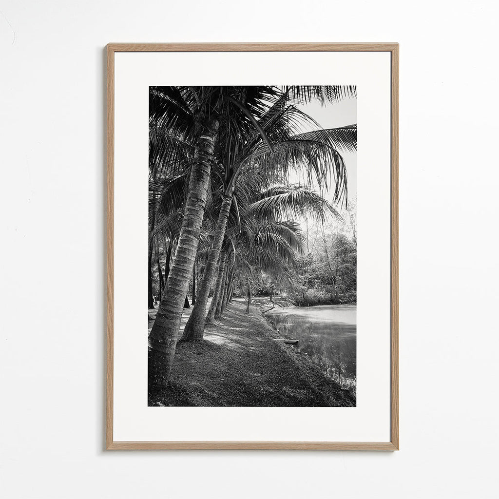 Pionowy pejzaż z palmami — fotografia