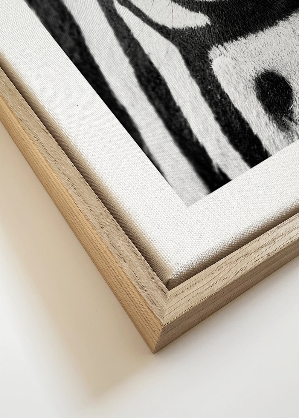Plakat zebra zbliżenie