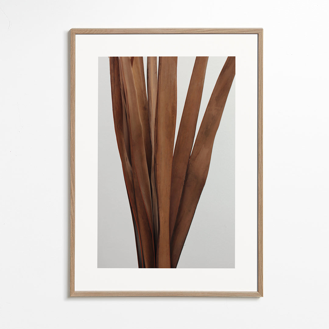 Plakat botaniczny suche liście