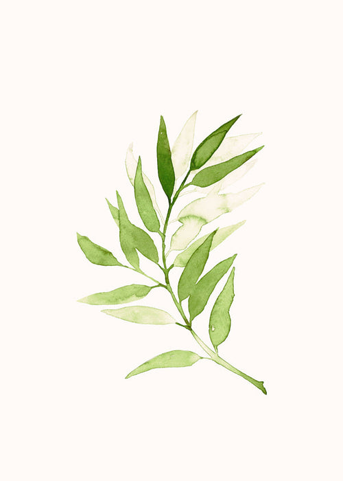Plakat botaniczny: minimalistyczna gałązka