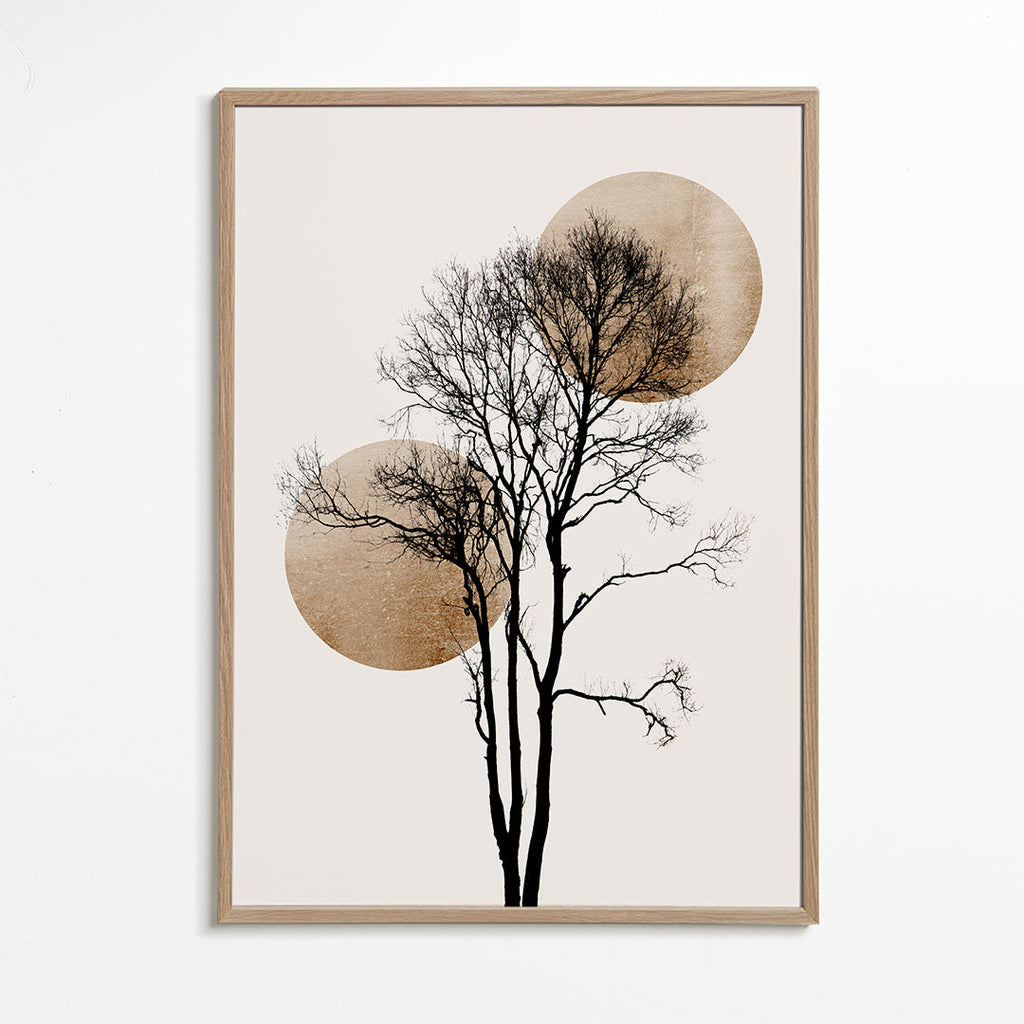 Plakat botaniczny: sylwetka drzewa z złotymi kręgami