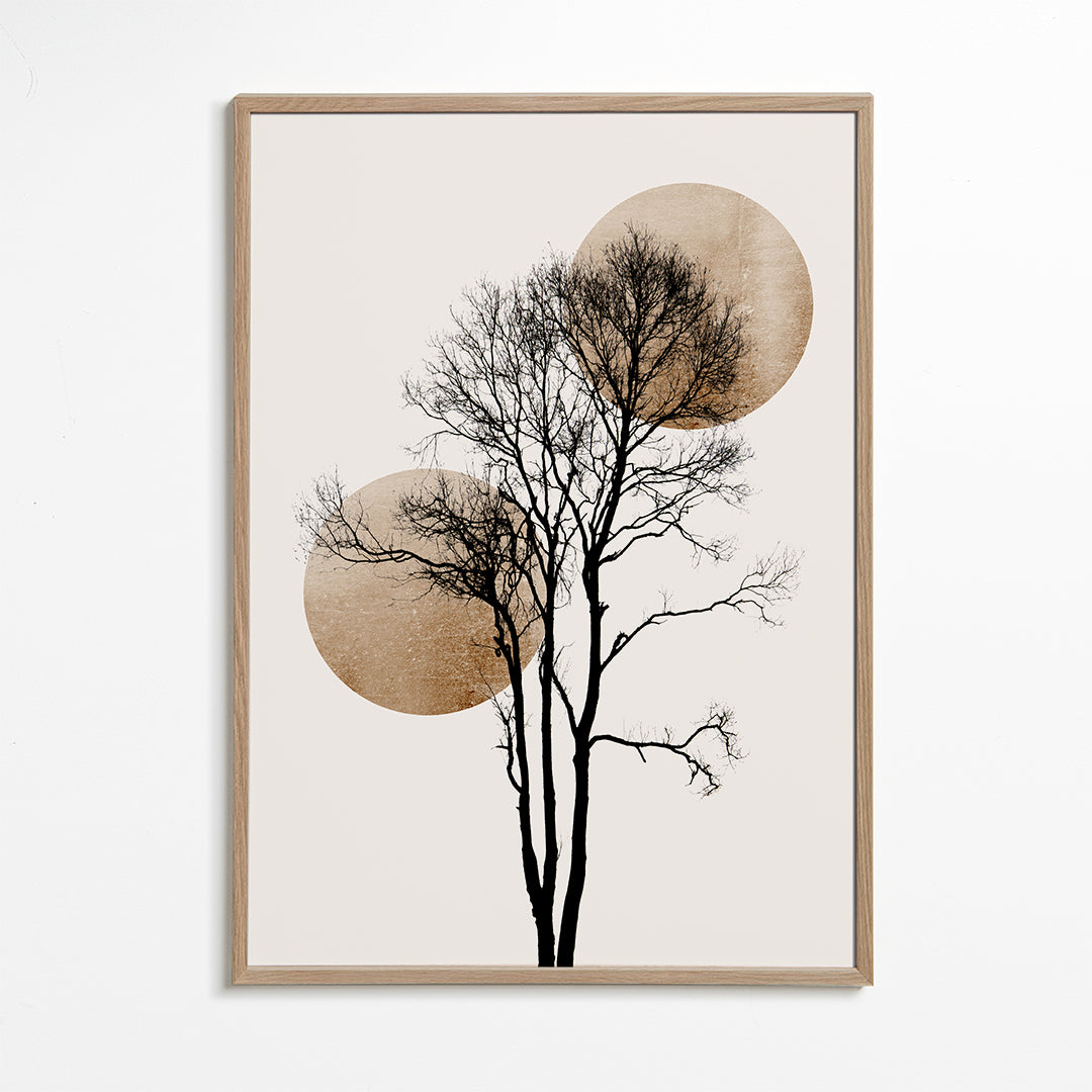 Plakat botaniczny: sylwetka drzewa z złotymi kręgami
