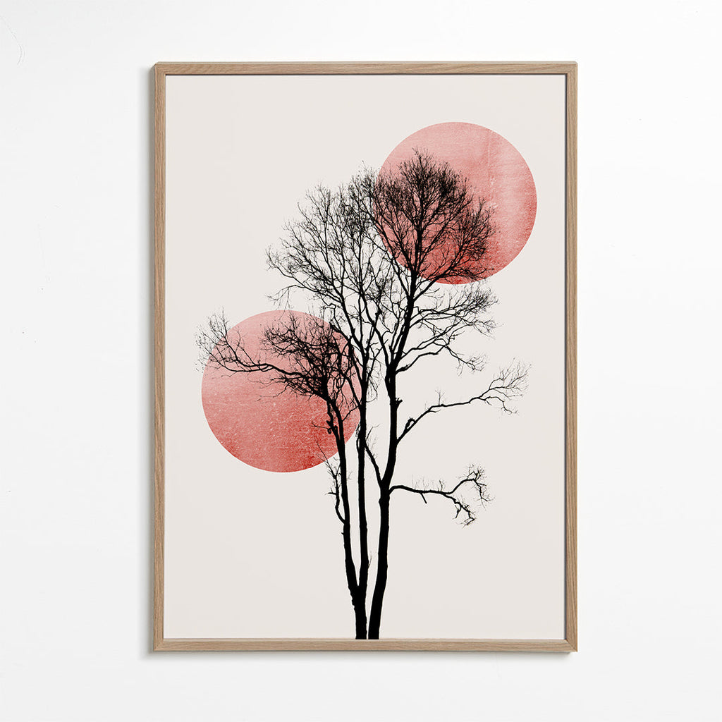 Plakat botaniczny: sylwetka drzewa z różowymi kręgami