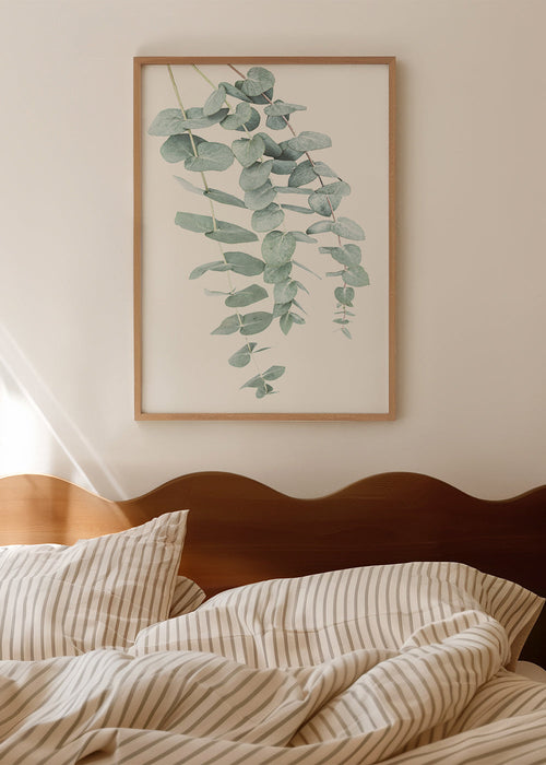 Plakat botaniczny z wiszącym eukaliptusem