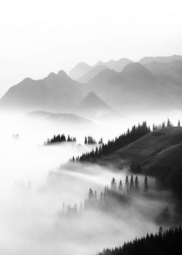 Morning sun BW
