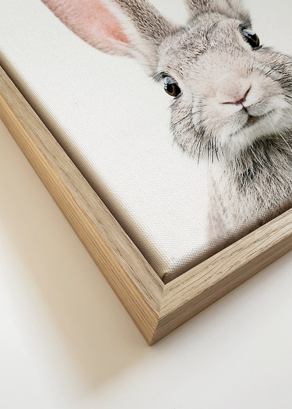 Plakat z zającem w stylu minimalistycznym