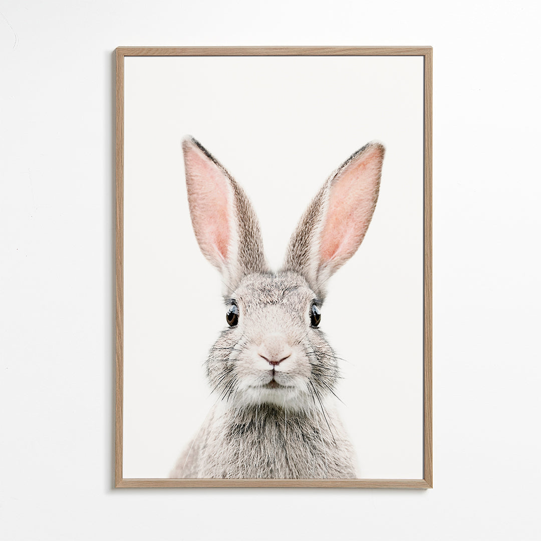 Plakat z zającem w stylu minimalistycznym