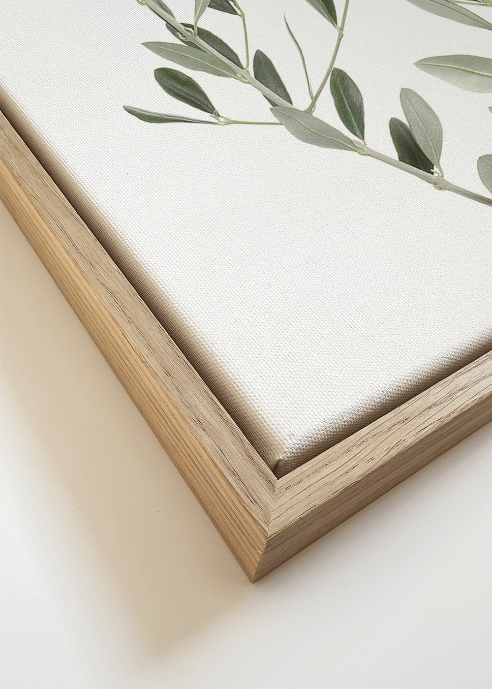 Plakat botaniczny gałązka oliwki minimal