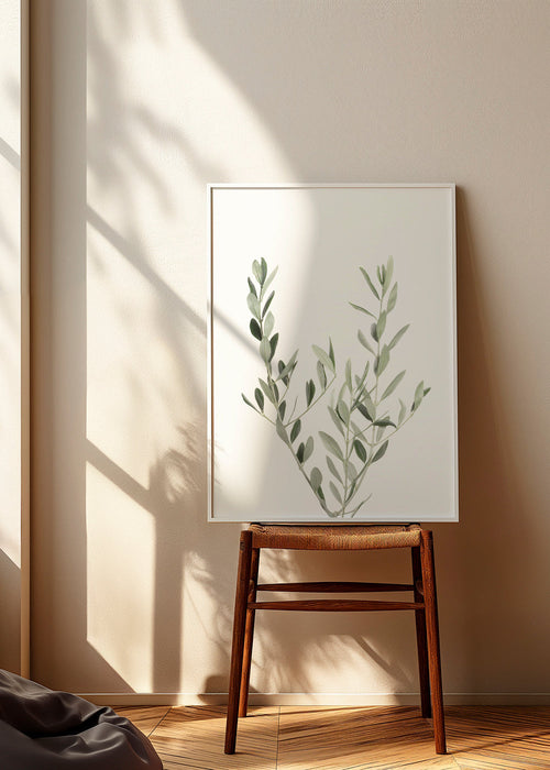 Plakat botaniczny gałązka oliwki minimal