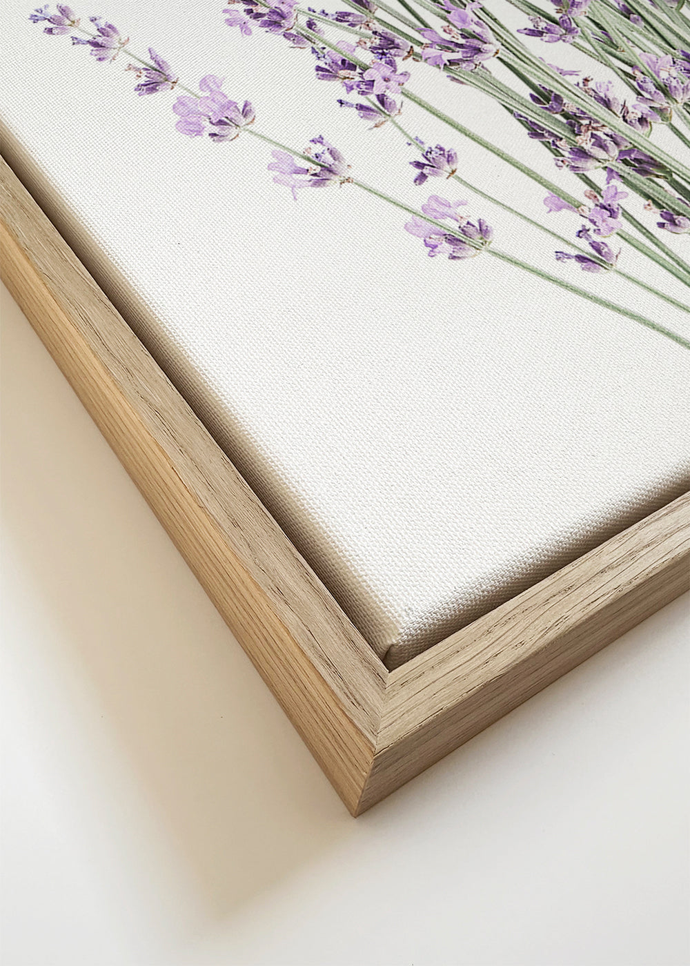 Plakat botaniczny: bukiet lawendy