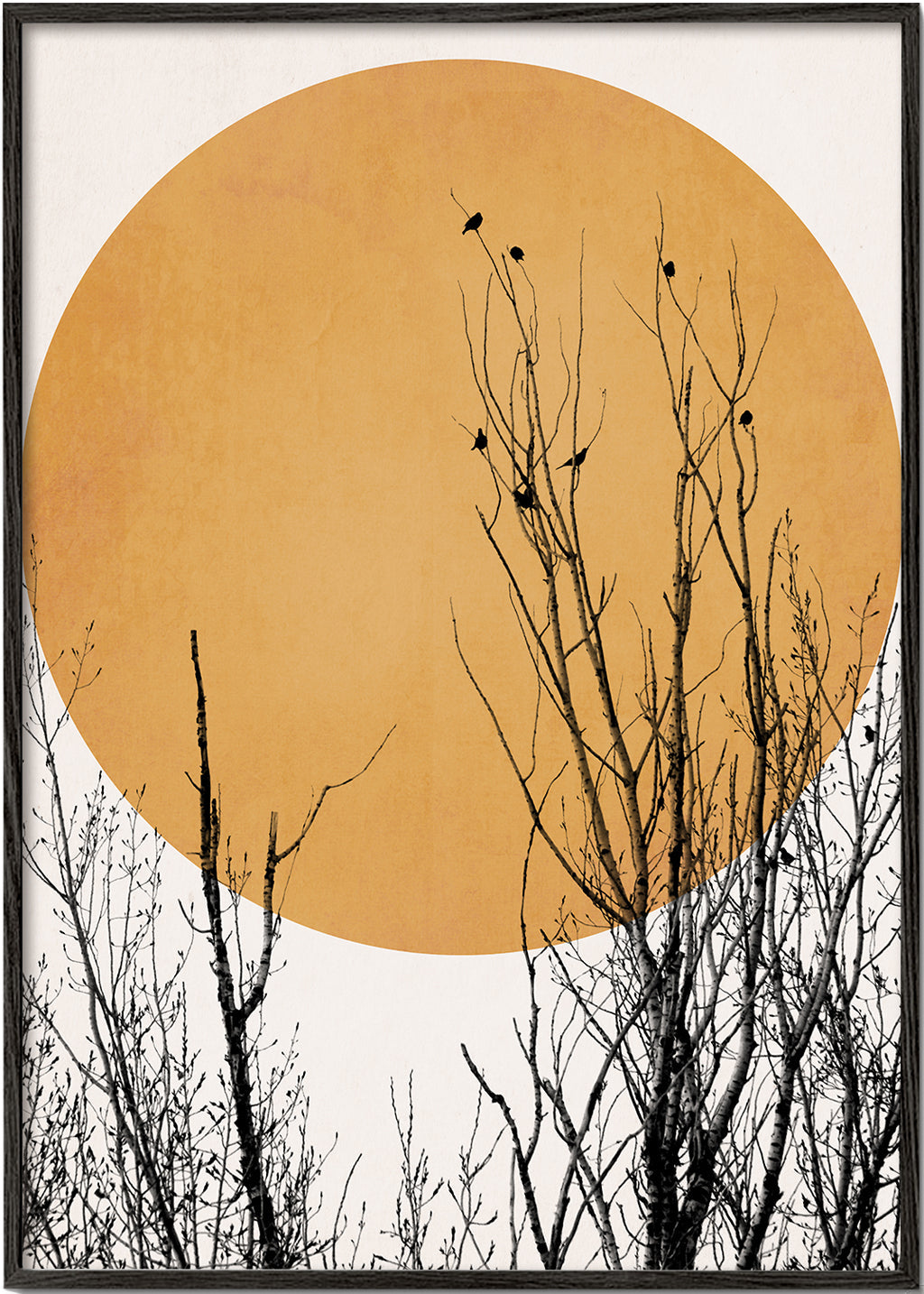 Plakat botaniczny ocre słońce