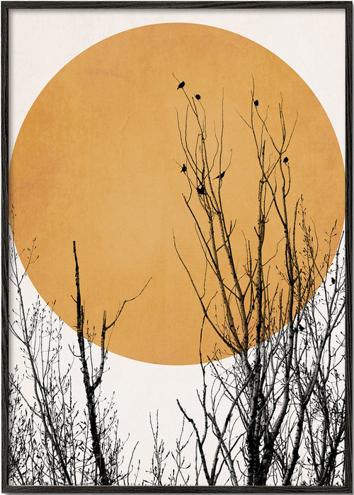 Plakat botaniczny ocre słońce