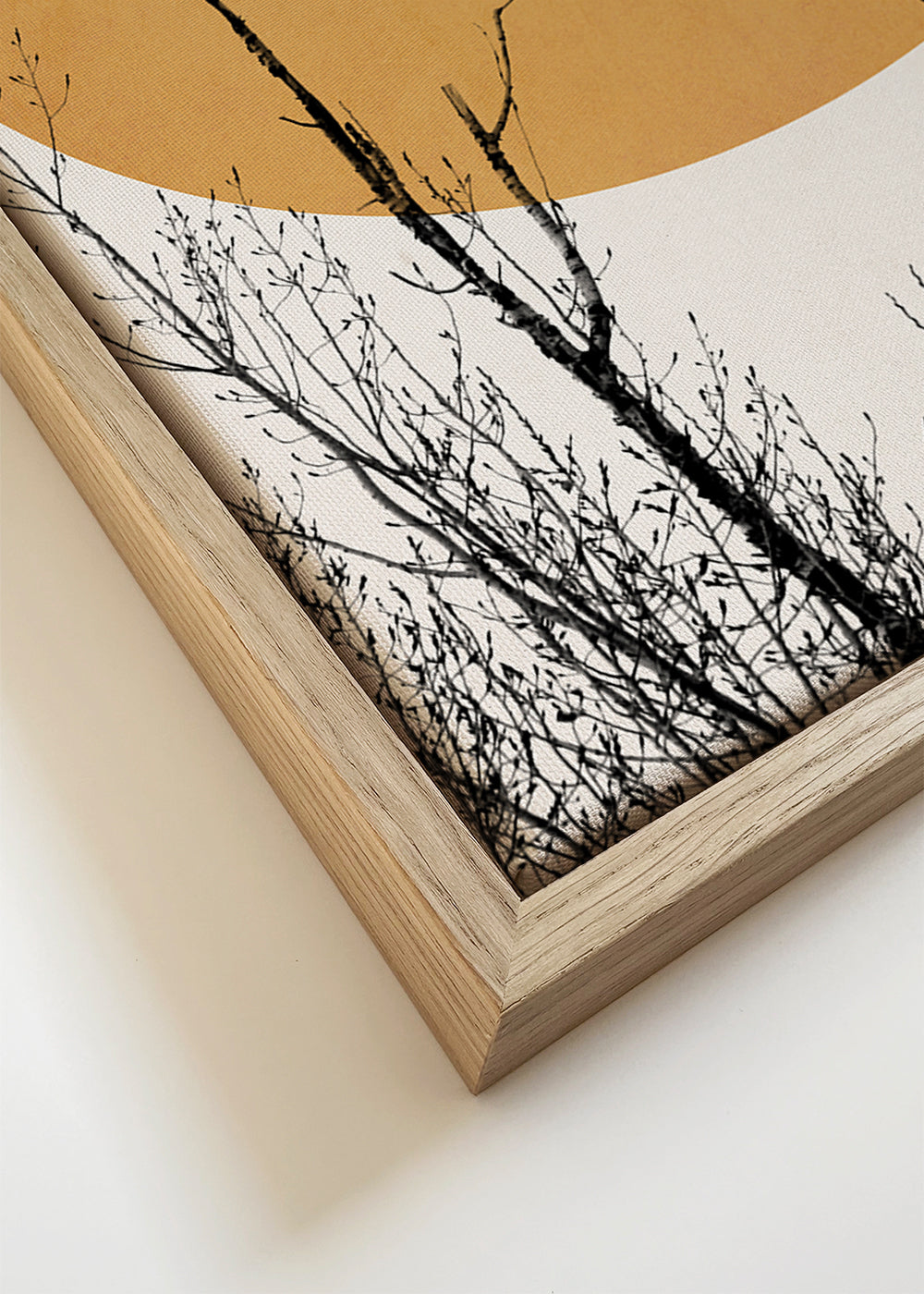 Plakat botaniczny ocre słońce