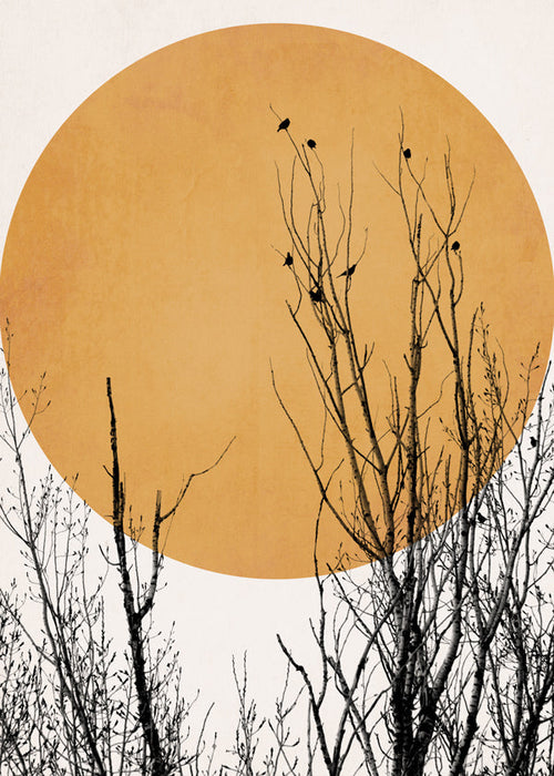 Plakat botaniczny ocre słońce