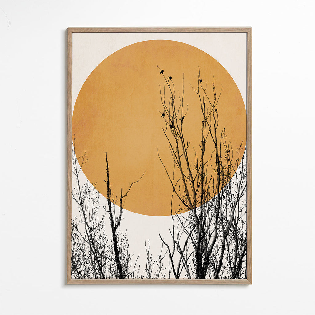 Plakat botaniczny ocre słońce