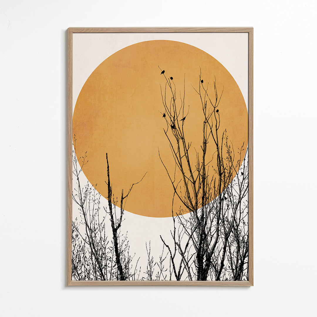 Plakat botaniczny ocre słońce