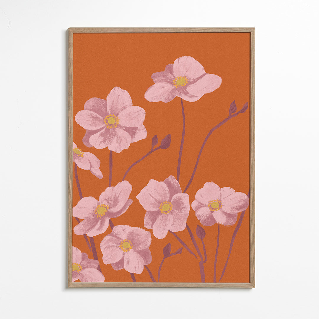 Plakat botaniczny Różowa zawilec