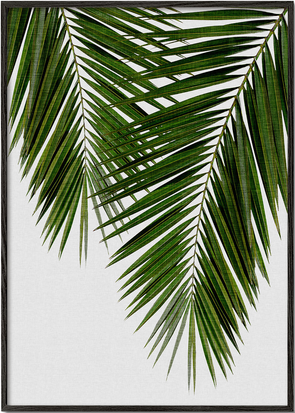 Plakat botaniczny liść palmy
