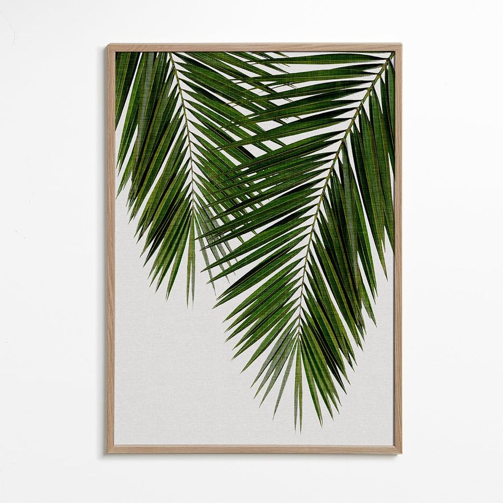 Plakat botaniczny liść palmy