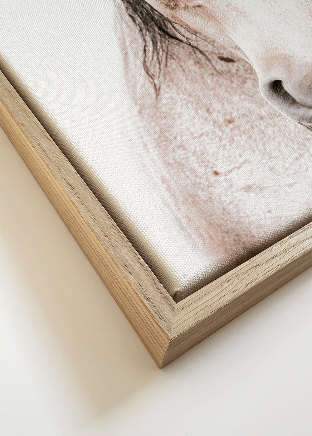 Koński portret minimalistyczny