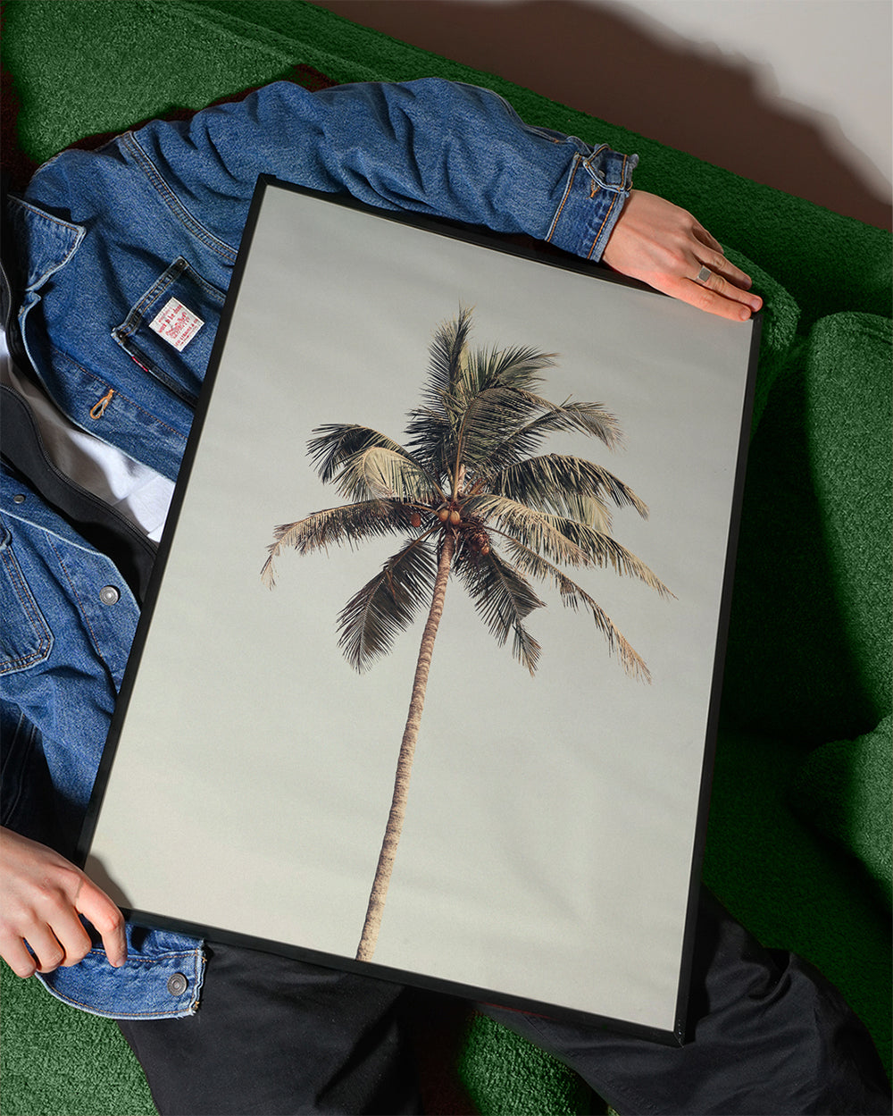 Sztuka krajobrazu: samotna palma w fotografii