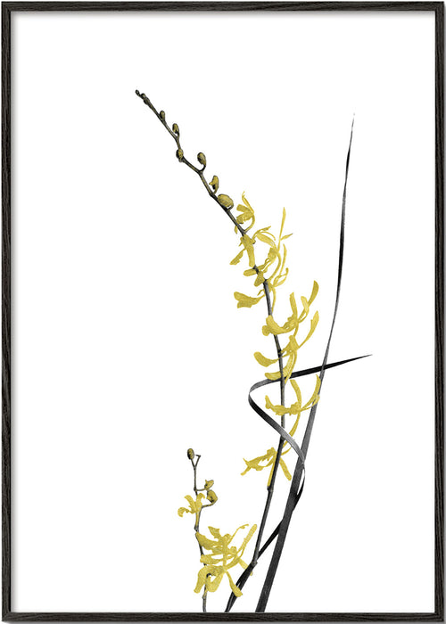 Plakat botaniczny: żółta orchidea minimal