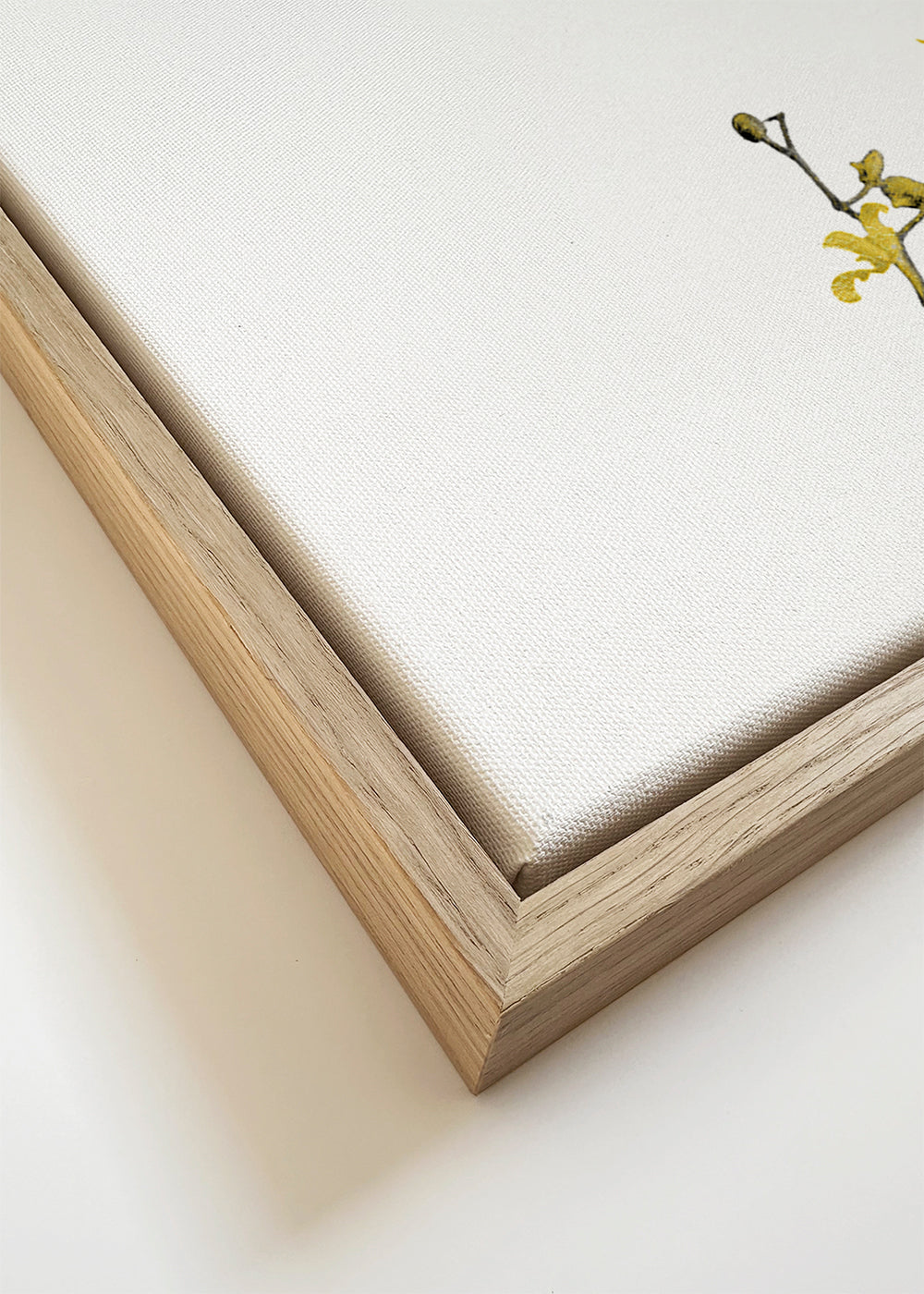 Plakat botaniczny: żółta orchidea minimal
