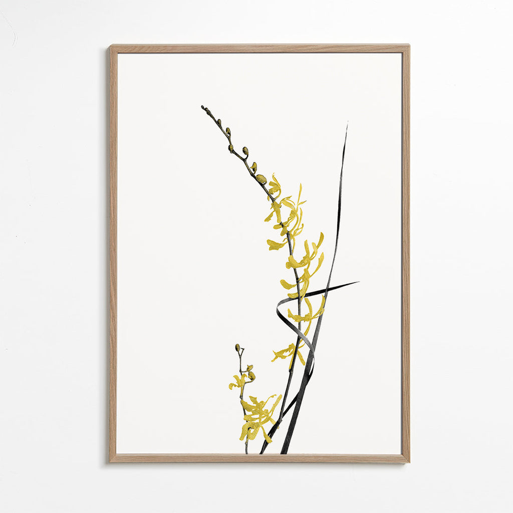 Plakat botaniczny: żółta orchidea minimal
