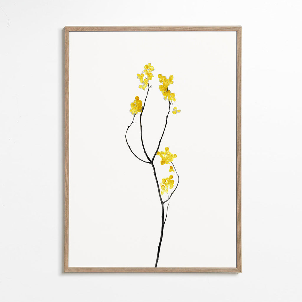 Plakat botaniczny z żółtą gałązką