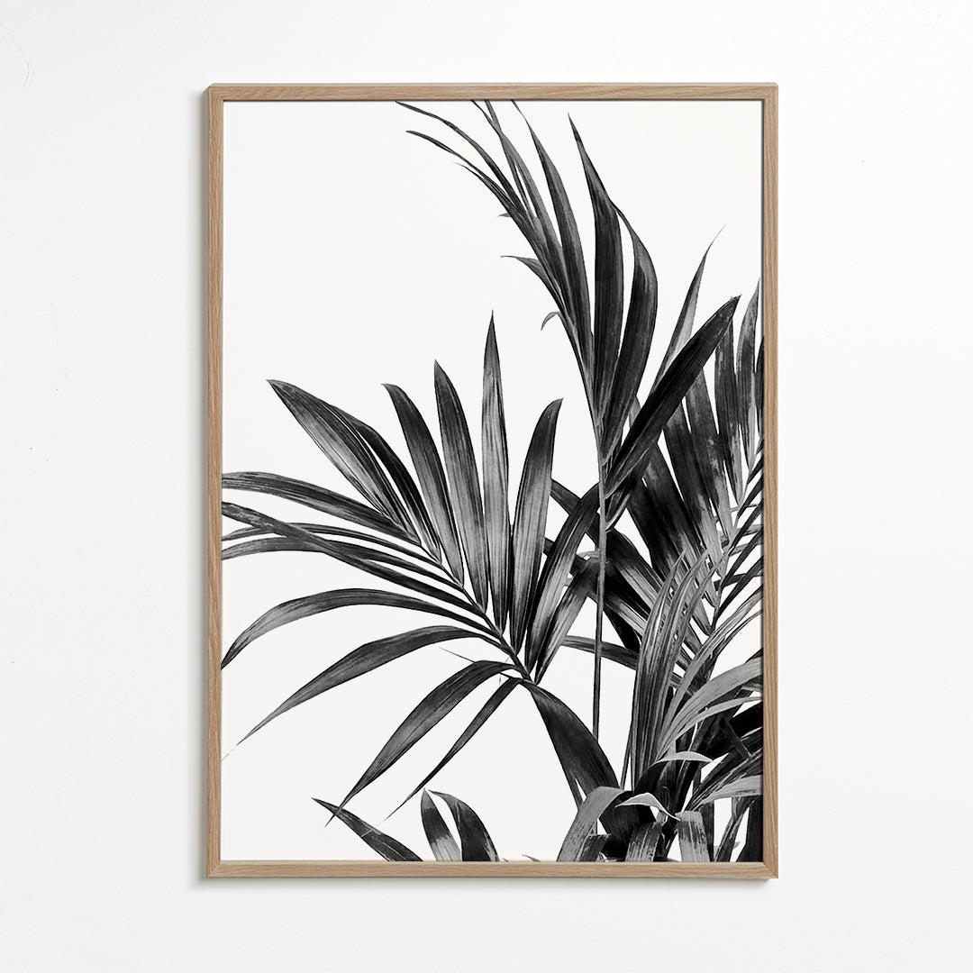 Plakat botaniczny z palmami czarno-biały