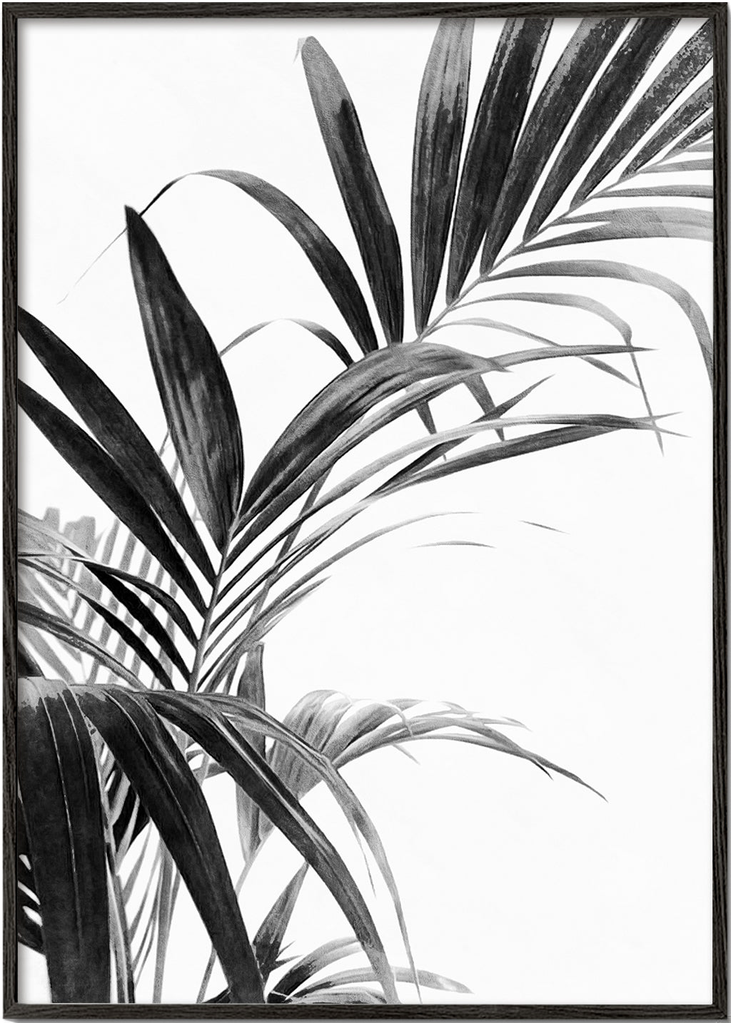 Plakat botaniczny: liście palmy w czerni i bieli