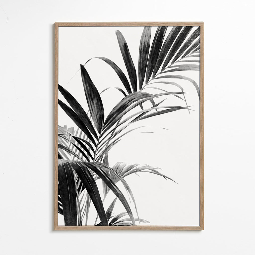 Plakat botaniczny: liście palmy w czerni i bieli