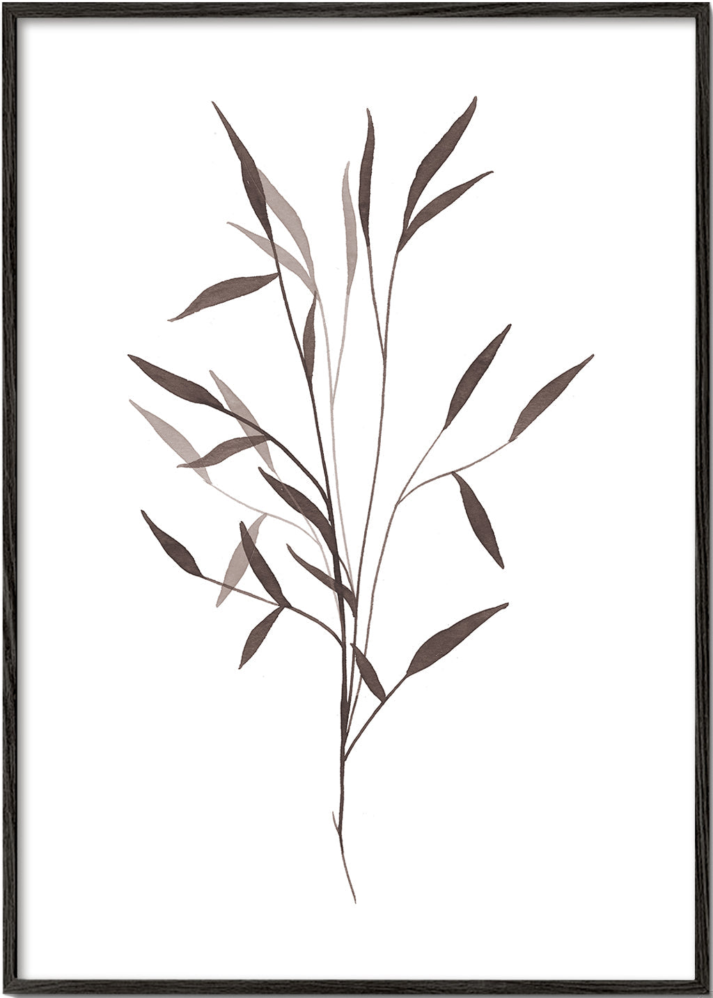 Plakat botaniczny cienka gałązka