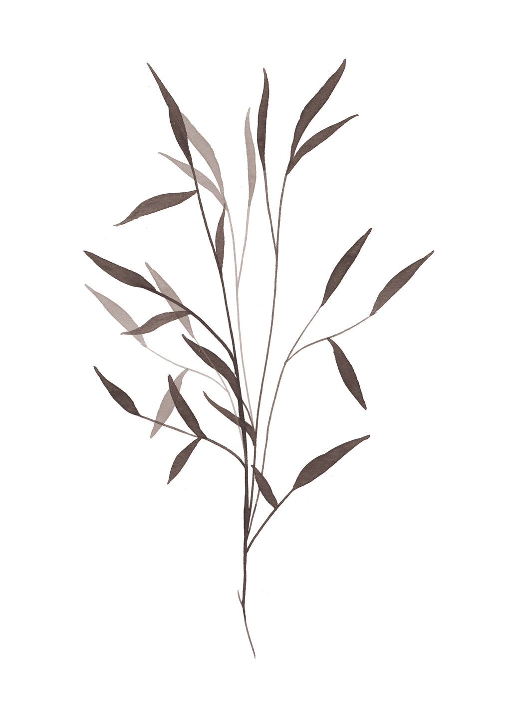 Black leaf - Unframed art print