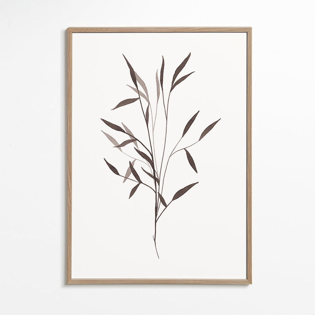 Plakat botaniczny cienka gałązka
