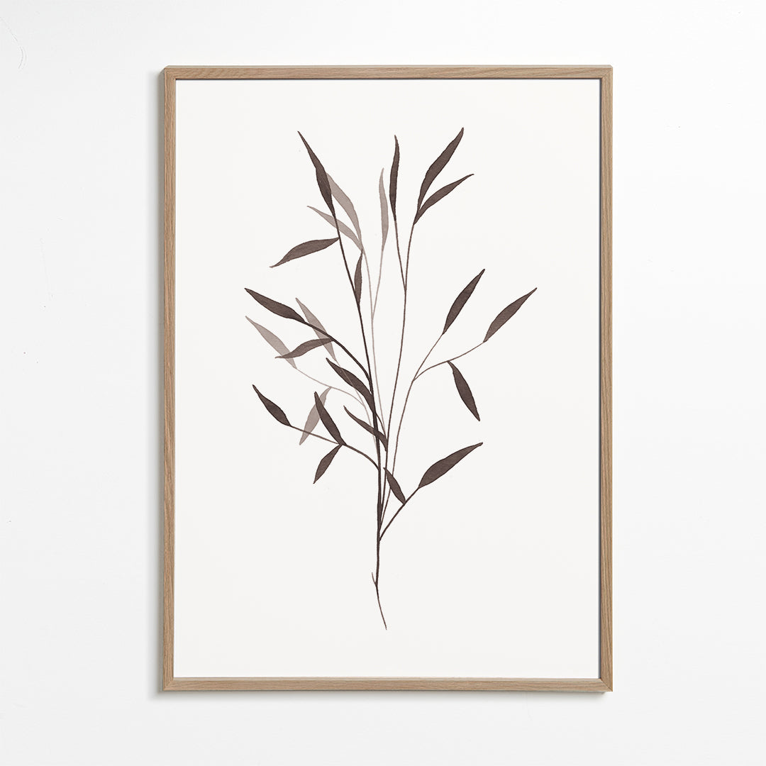 Plakat botaniczny cienka gałązka