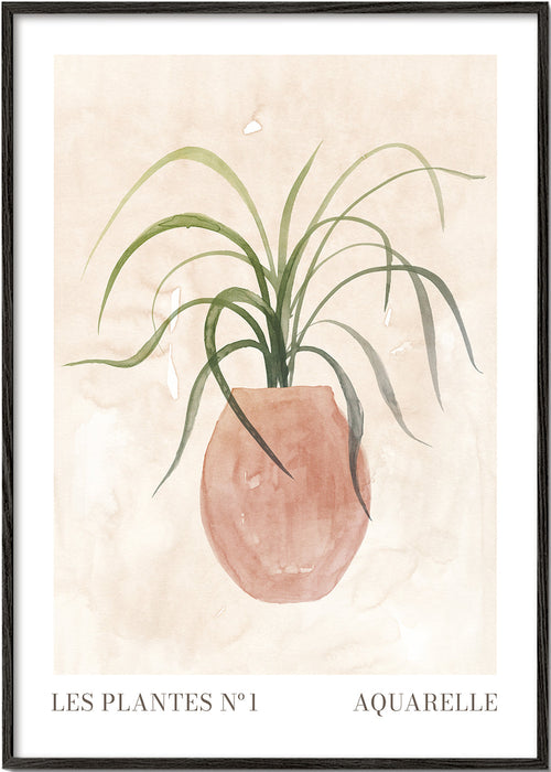 Plakat botaniczny: roślina w doniczce akwarela