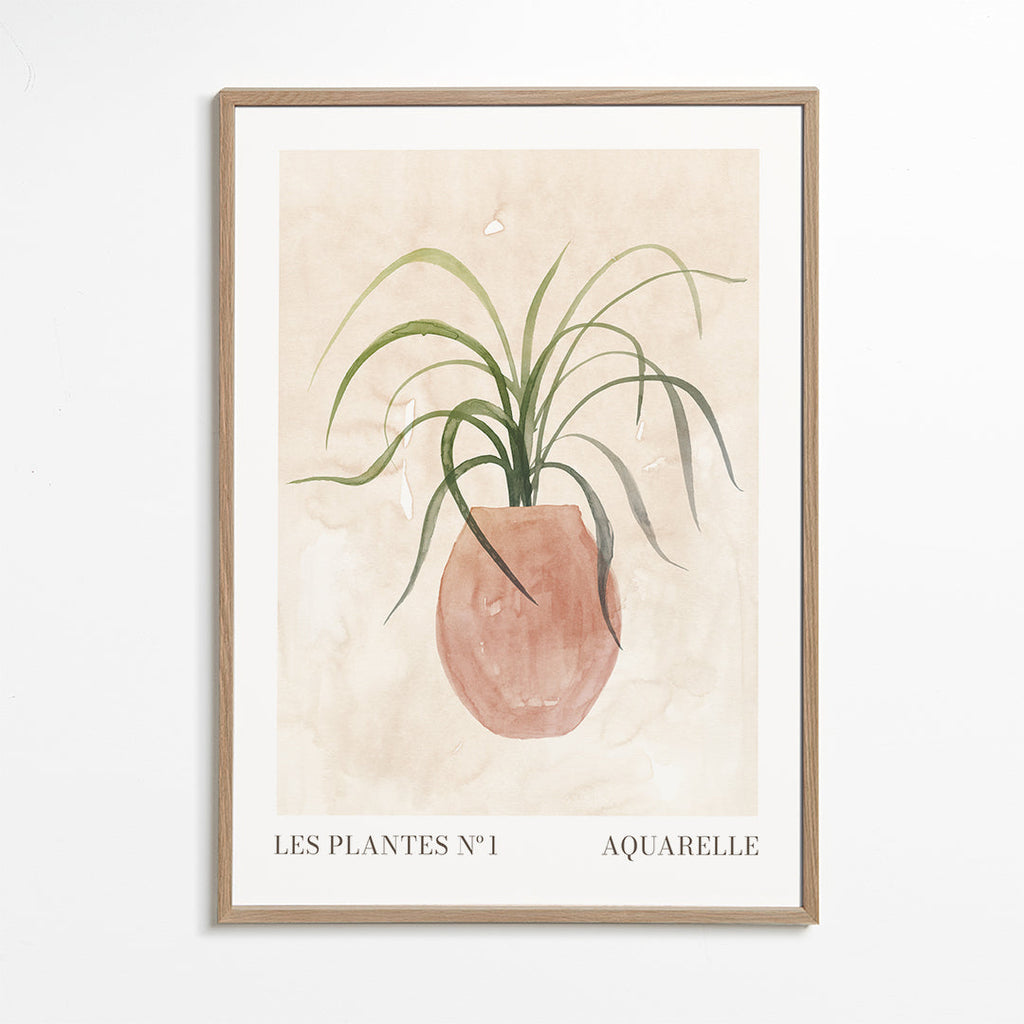 Plakat botaniczny: roślina w doniczce akwarela