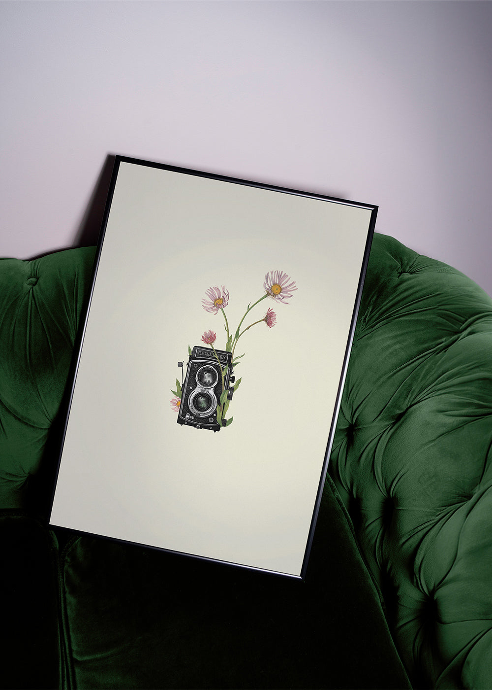 Plakat botaniczny ze starą aparaturą i stokrotkami
