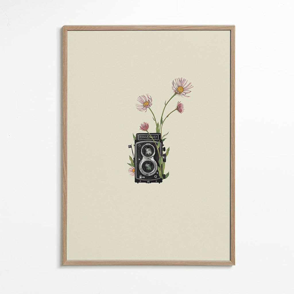 Plakat botaniczny ze starą aparaturą i stokrotkami