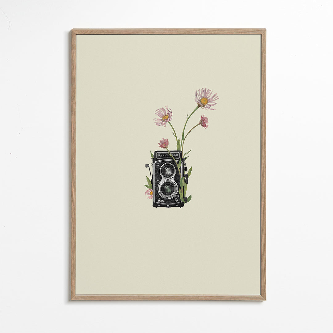 Plakat botaniczny ze starą aparaturą i stokrotkami