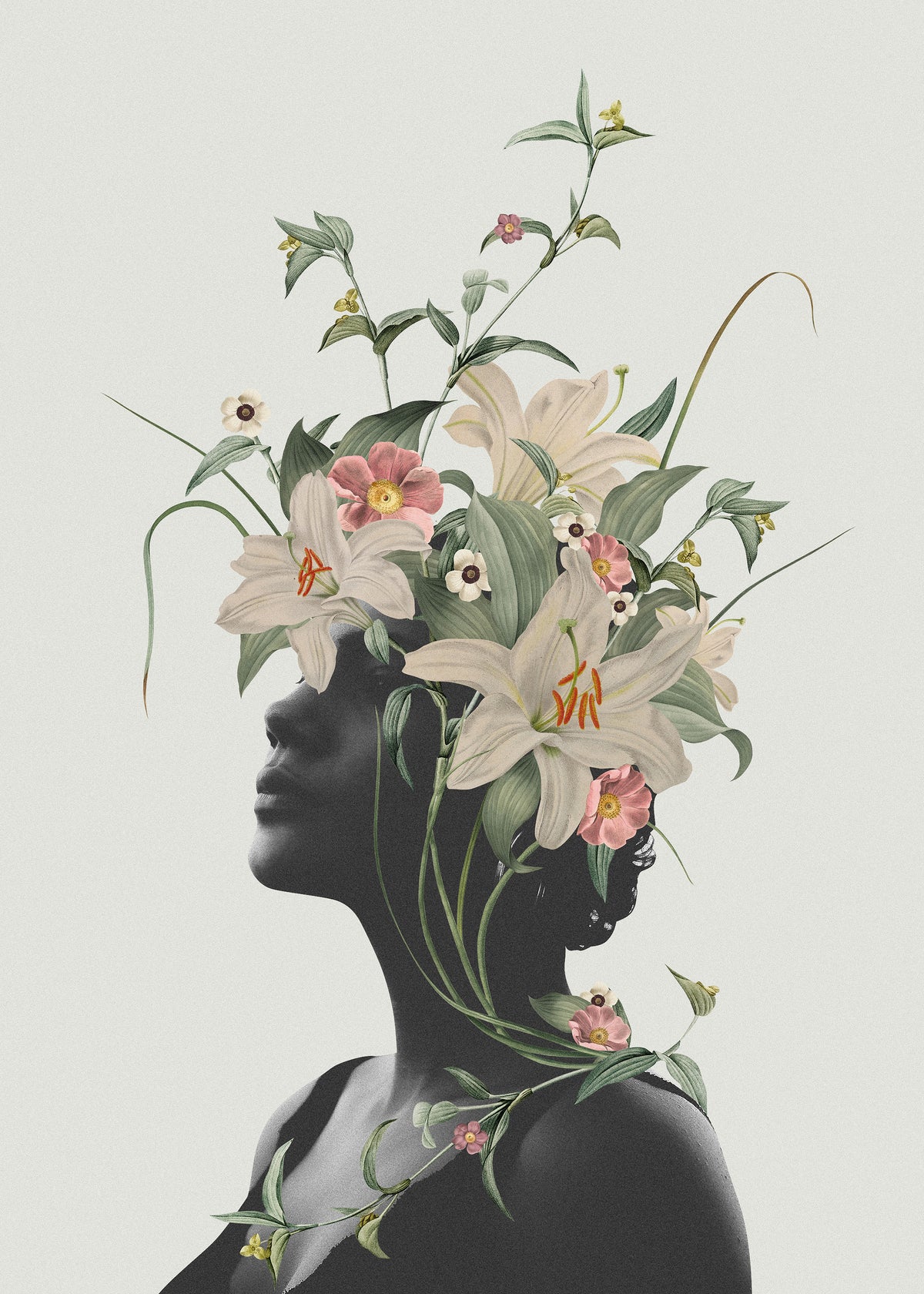 Lily flower - Unframed art print