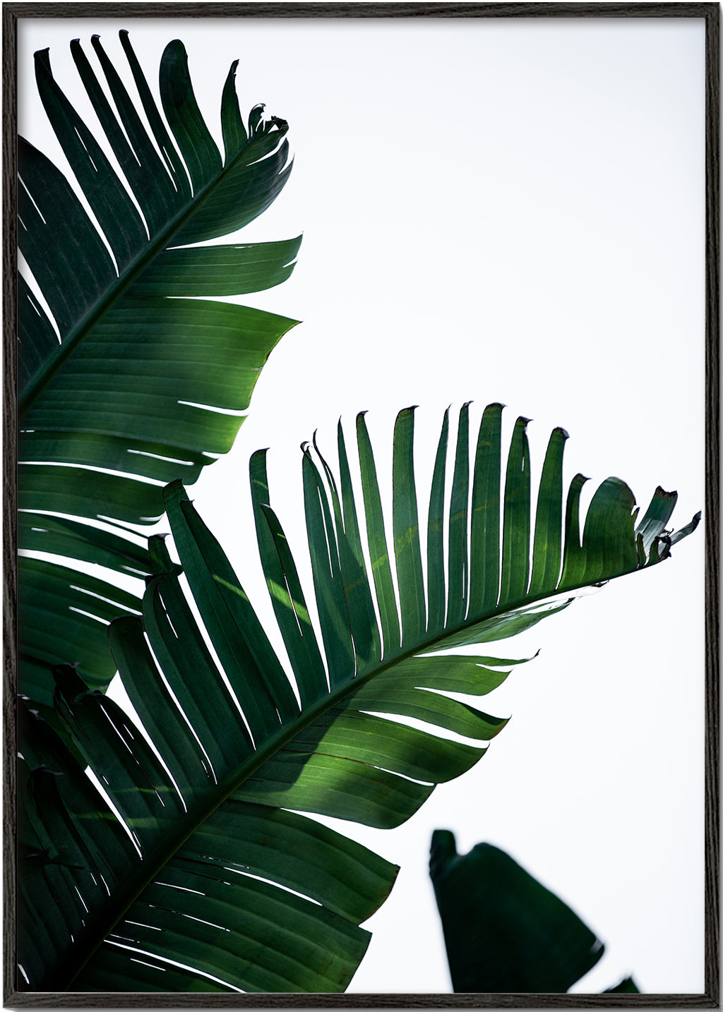 Plakat botaniczny zielone liście pionowy