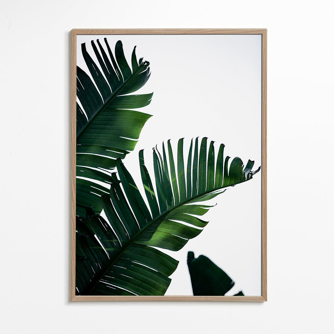 Plakat botaniczny zielone liście pionowy