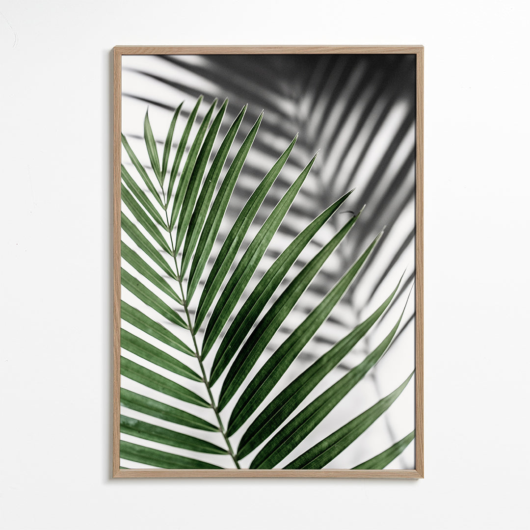 Plakat botaniczny z liściem palmy w zbliżeniu