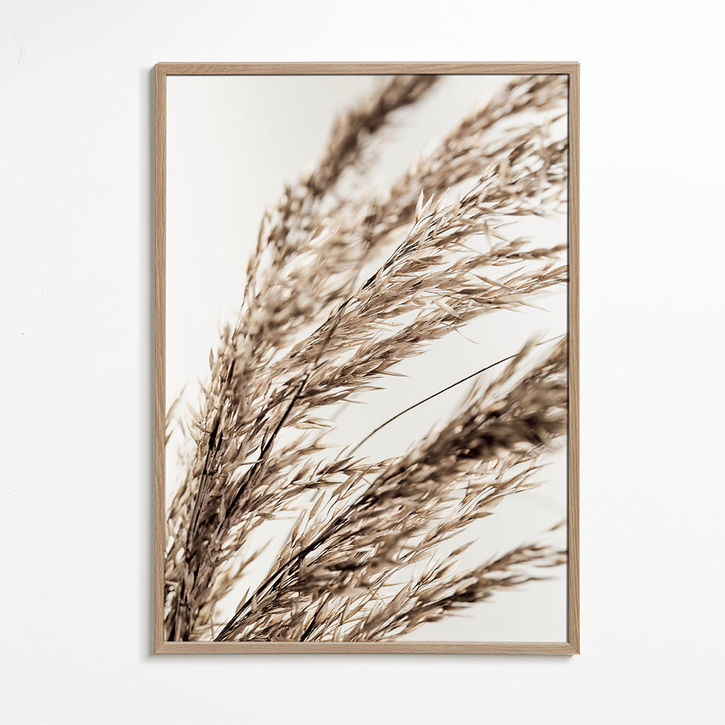 Plakat botaniczny suche źdźbła poziomy