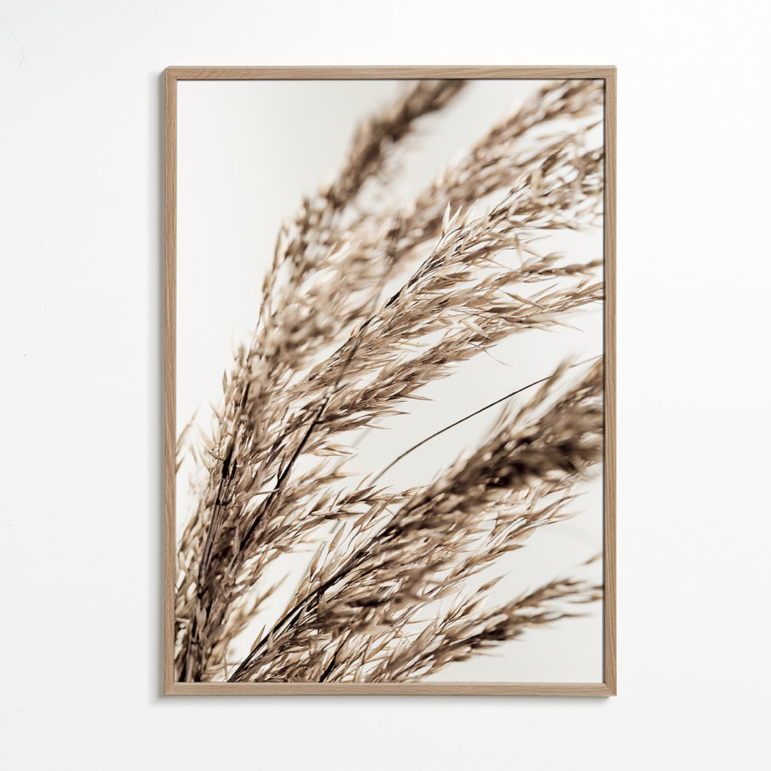 Plakat botaniczny suche źdźbła poziomy